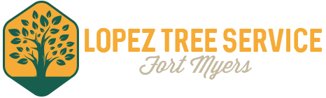 Lopez Tree Service Fort Myers