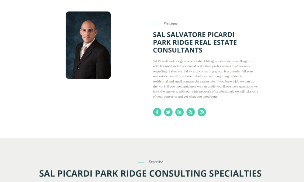 Sal Picardi Park Ridge Consulting