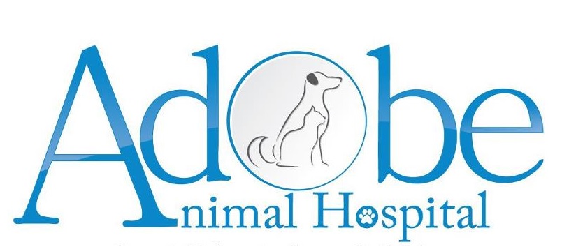 Adobe Animal Hospital