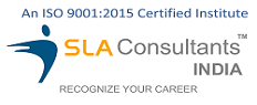 SLA Consultants India - Digital Marketing Training in Delhi