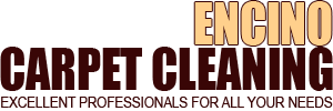 Carpet Cleaning Encino