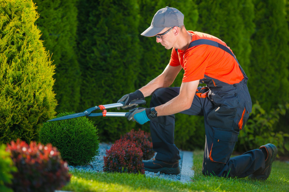 Is Professional Landscaping Worth the Cost