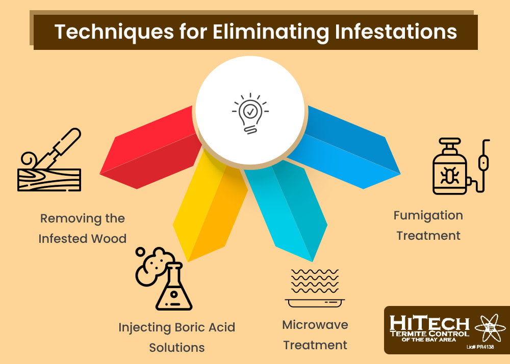 Signs of a Drywood Termite Infestation