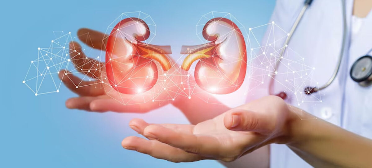 Implantable Bio Artificial Kidney: Revolutionizing Renal Treatment